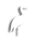 Bird Image