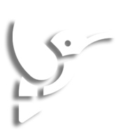 Bird Image
