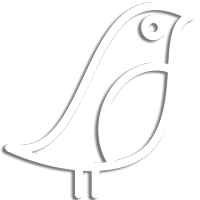 Bird Image
