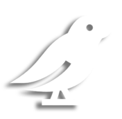 Bird Image