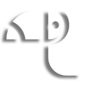 Bird Image